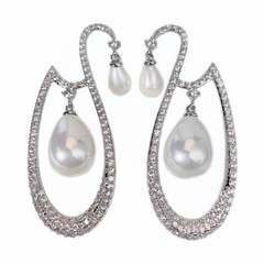 Fashionable three-dimensional hollowed-out swan teardrop-shaped bead earrings, exuding a European and American temperament with micro-set cubic zirconia decorations.